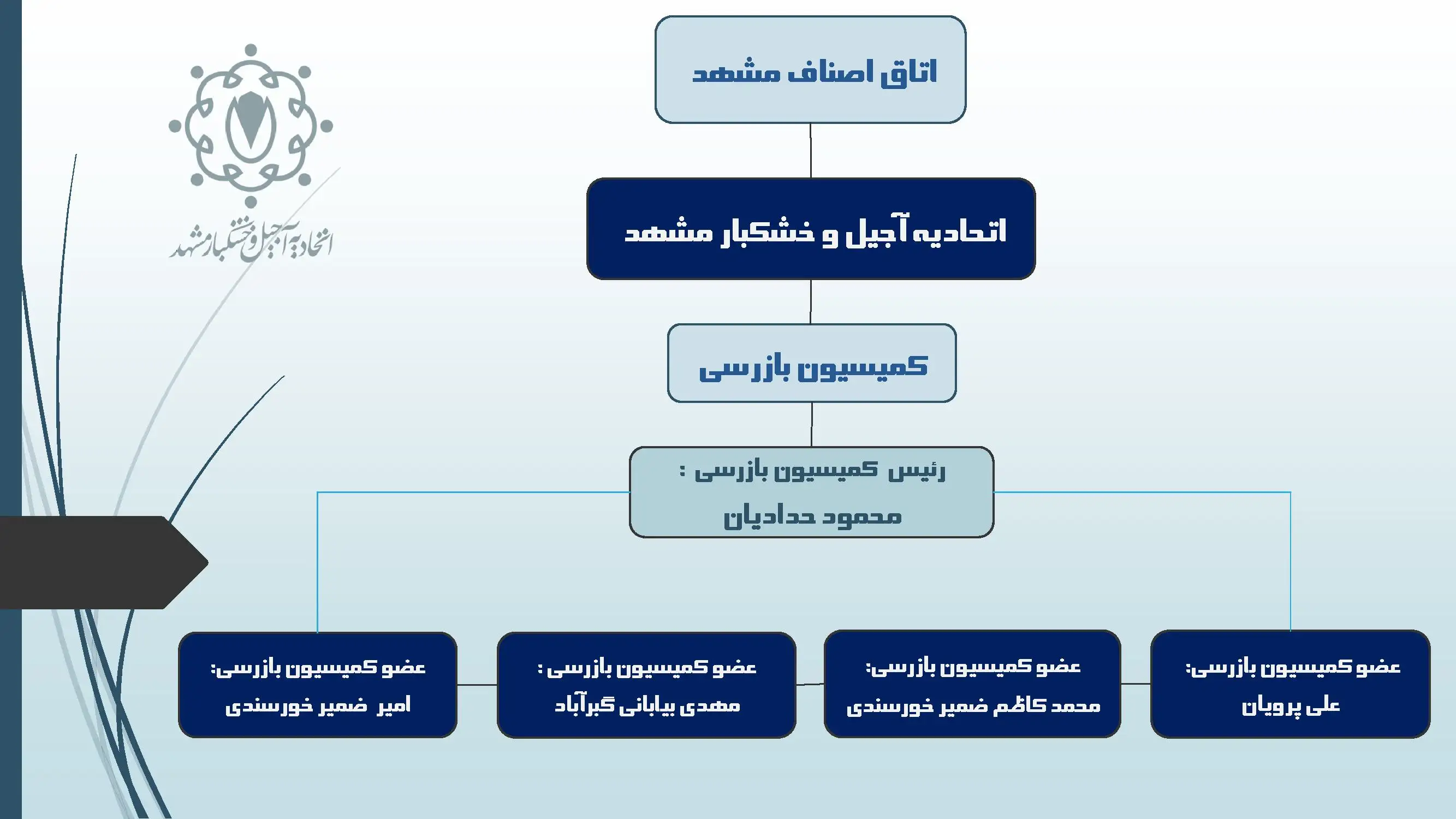 کمیسیون بازرسی